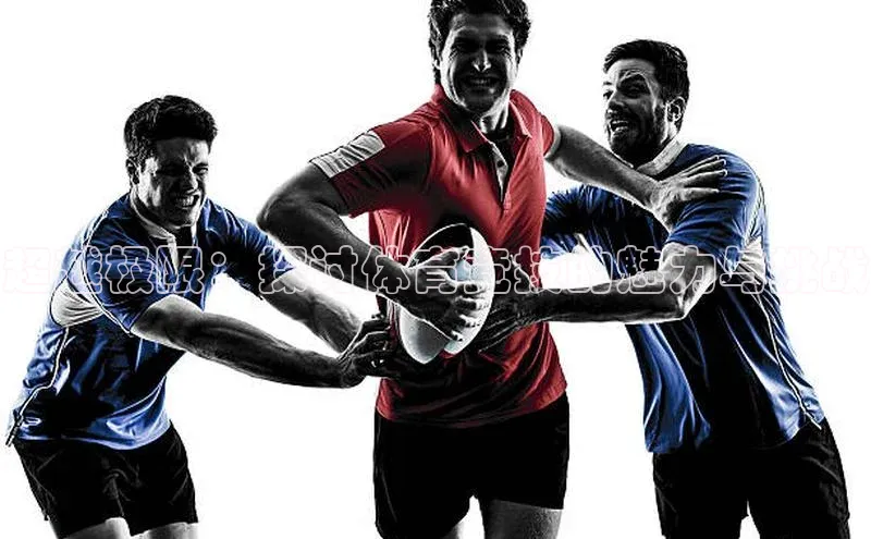 杏悦2平台官网登录