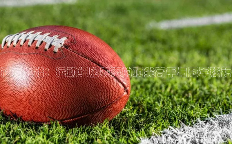 杏悦2平台注册入口