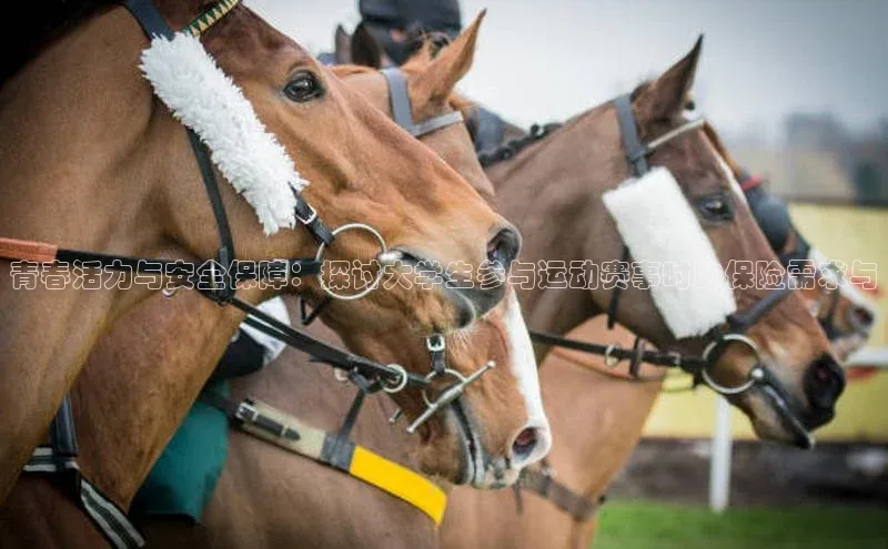 青春活力与安全保障：探讨大学生参与运动赛事时的保险需求与